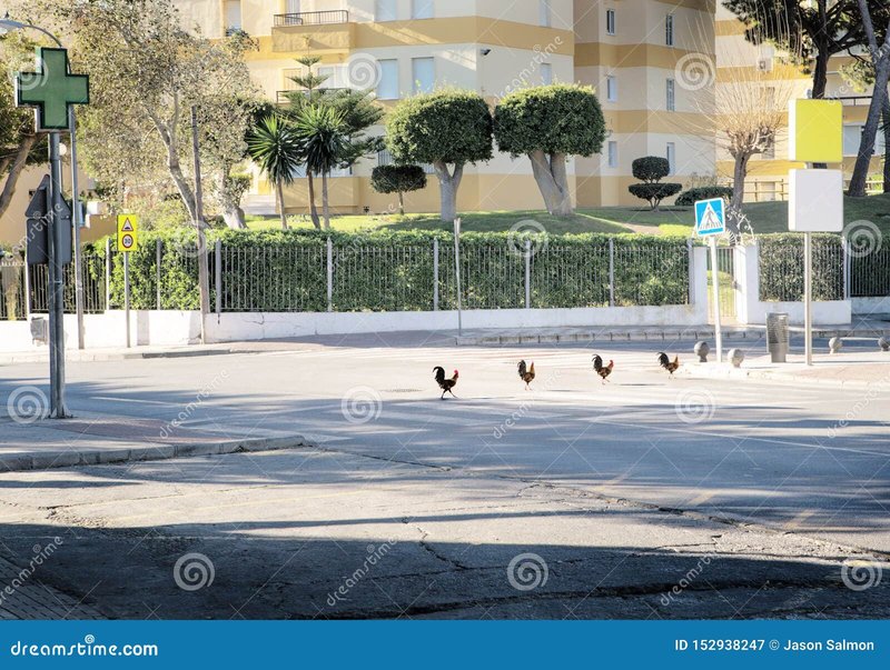 Image: Descubre el secreto detrás del misterioso Camino del Pollo en España en línea